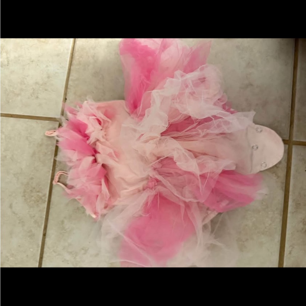 Tutu Du Monde Pink and White Ruffled Dress